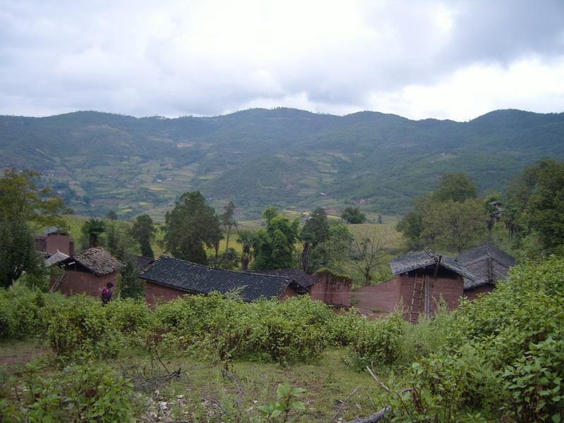 來具咱村 來具咱村