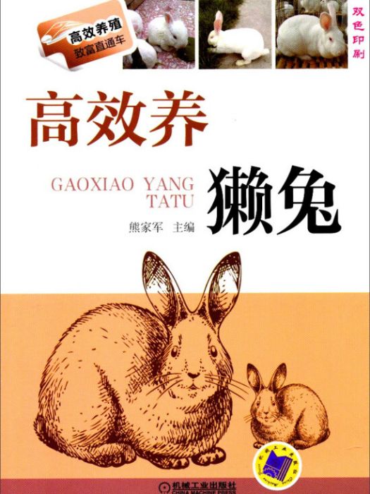 高效養獺兔 高效養獺兔