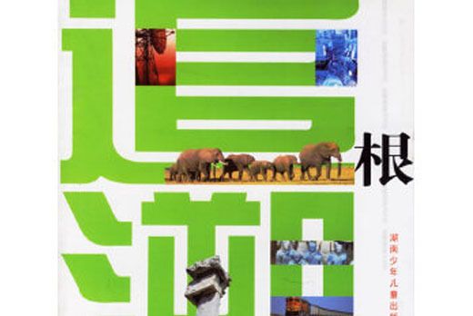 追根溯源300問 追根溯源300問