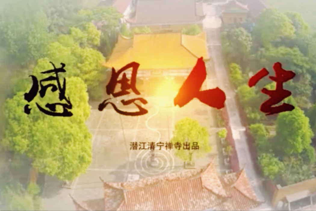 感恩人生(清寧禪寺方丈心恩法師原型微電影) 感恩人生(清寧禪寺方丈心恩法師原型微電影)
