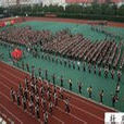 文峰學校