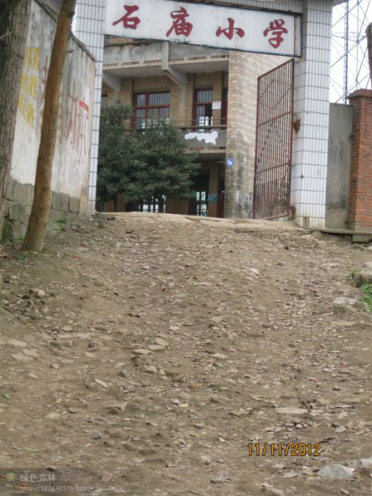 石廟國小 石廟國小