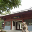 太原唐槐公園 太原唐槐公園