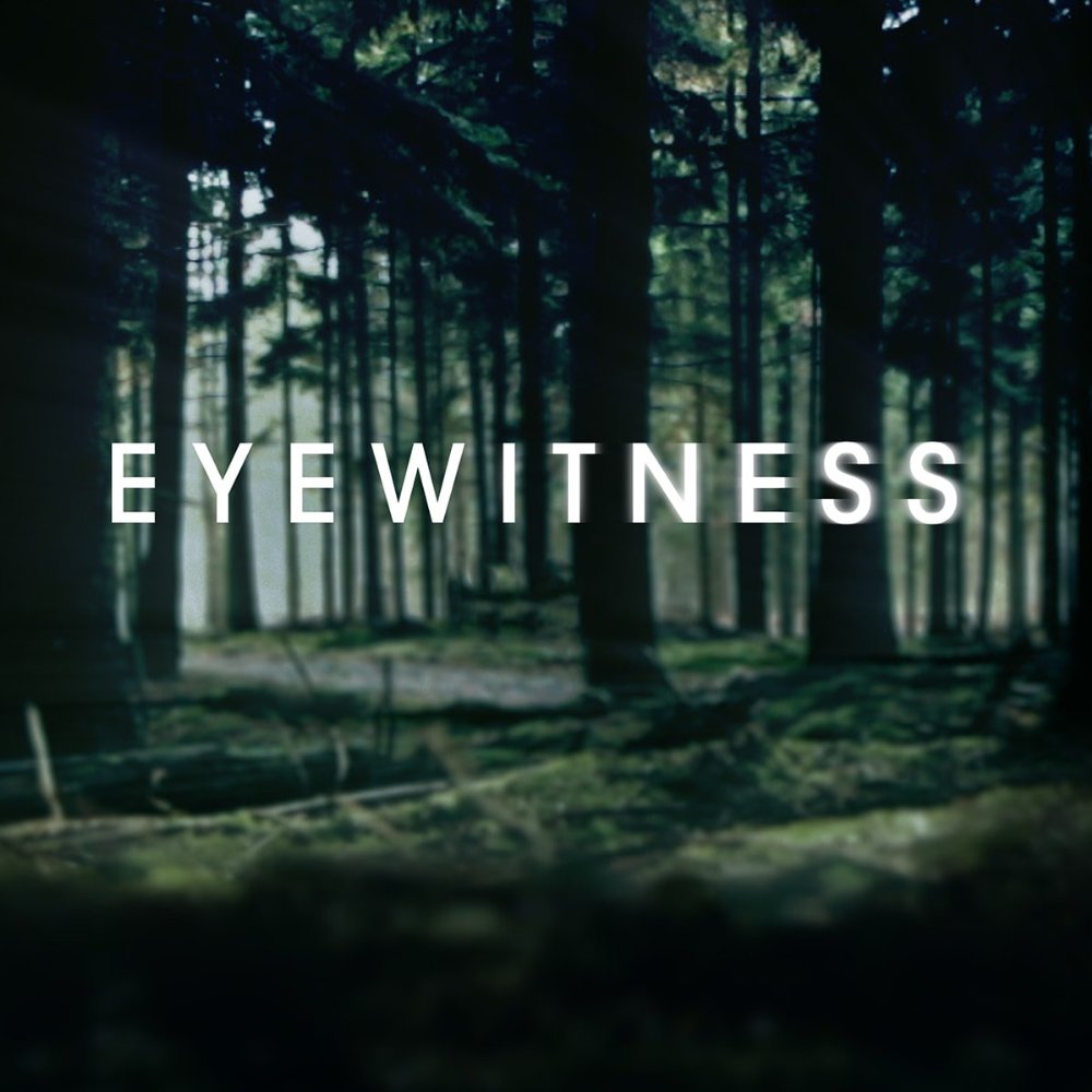 目擊證人(美劇《Eyewitness》)