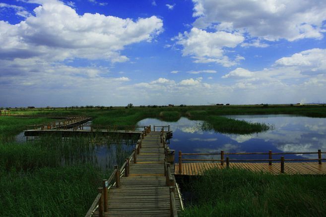 內蒙古南海子濕地自治區級自然保護區(內蒙古南海子濕地自然保護區)