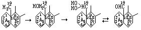 甾類（化合物）19-羥化酶