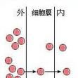 自由擴散 自由擴散
