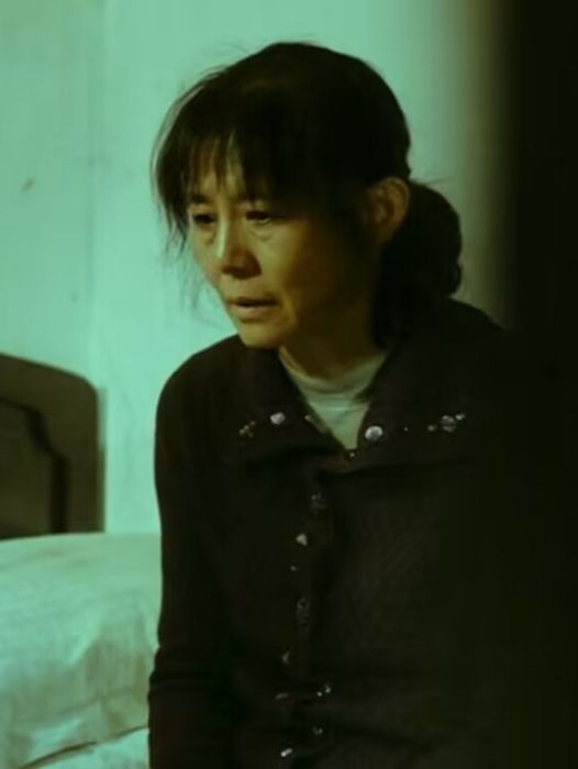 韓美玉(現實題材影片《不止不休》中的角色) 韓美玉(現實題材影片《不止不休》中的角色)