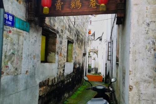 賣雞巷 賣雞巷
