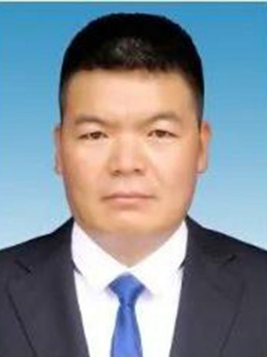 木龍(雲南省麗江市古城區文化街道黨工委副書記、辦事處主任) 木龍(雲南省麗江市古城區文化街道黨工委副書記、辦事處主任)