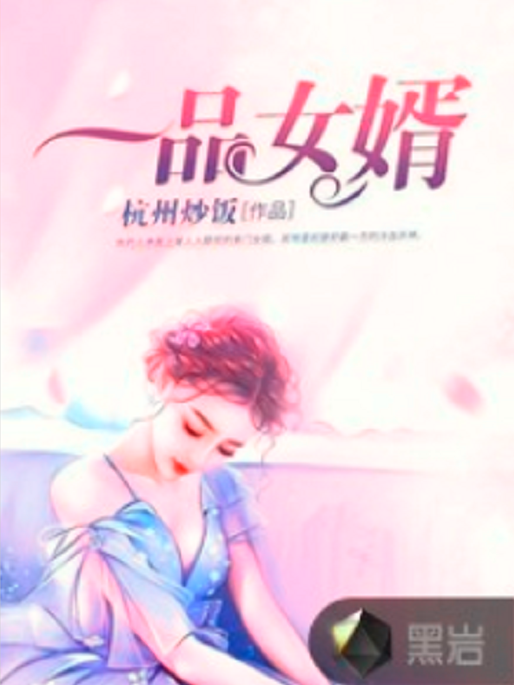 一品女婿 一品女婿