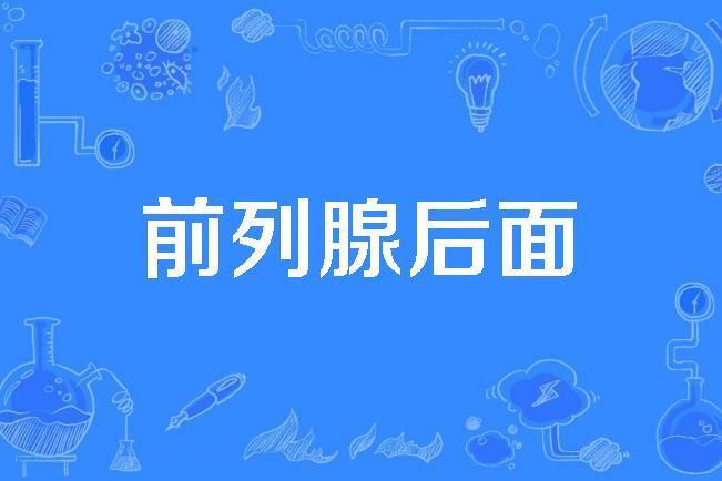 前列腺後面 前列腺後面