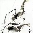 河蝦圖 河蝦圖