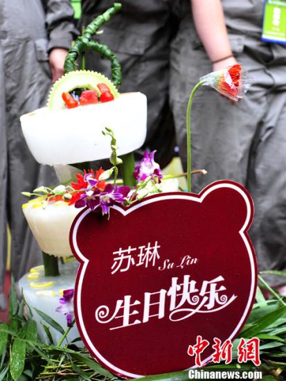 圖為海歸熊貓“蘇琳”的生日蛋糕