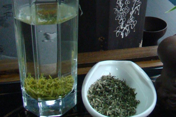 貴定雪芽 貴定雪芽