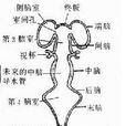 末腦 末腦