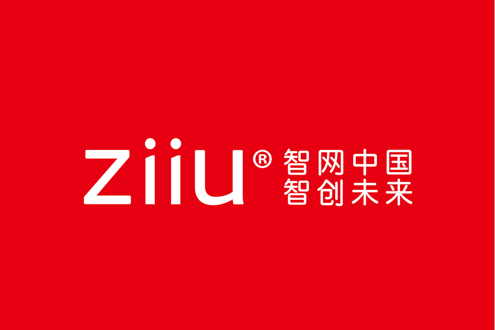 智網 智網