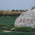 世紀公園(上海市世紀公園) 世紀公園(上海市世紀公園)