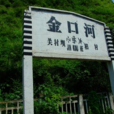 金口河站 金口河站