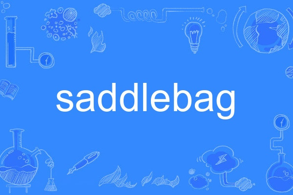 saddlebag saddlebag