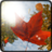Falling Leaves
