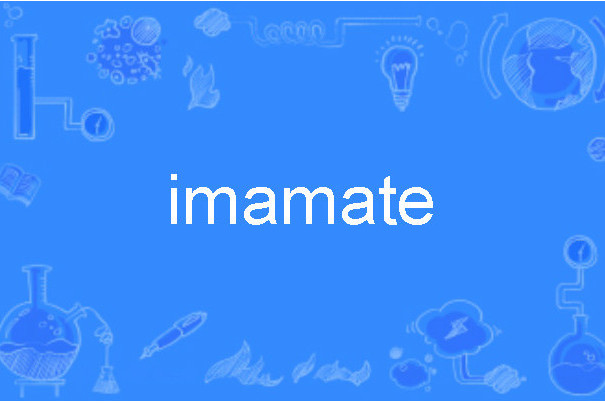 imamate imamate