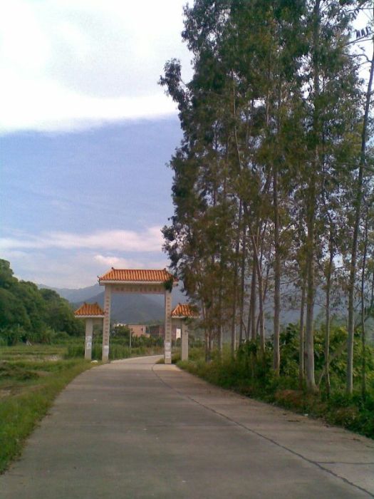 中心垌村 中心垌村