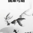 魏萊可期 魏萊可期