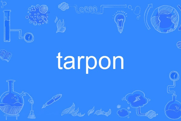 tarpon tarpon