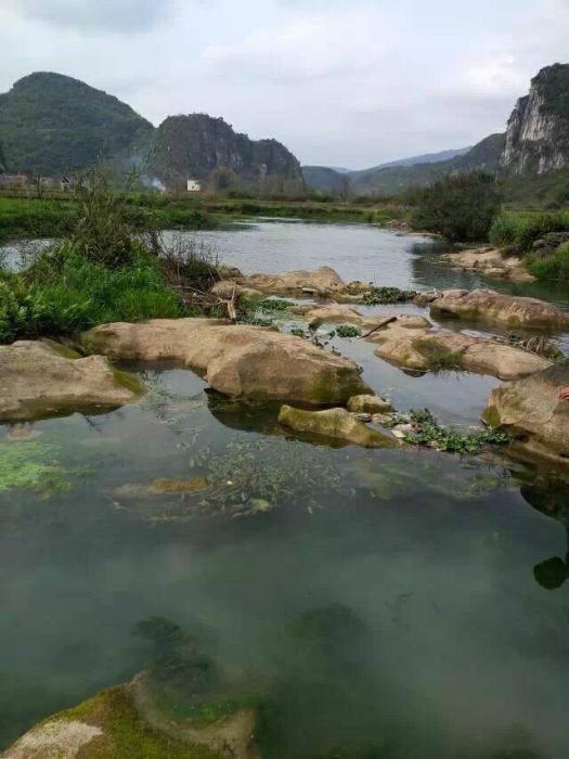 牛臘村 牛臘村