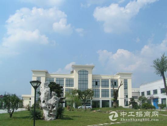 金園區 金園區