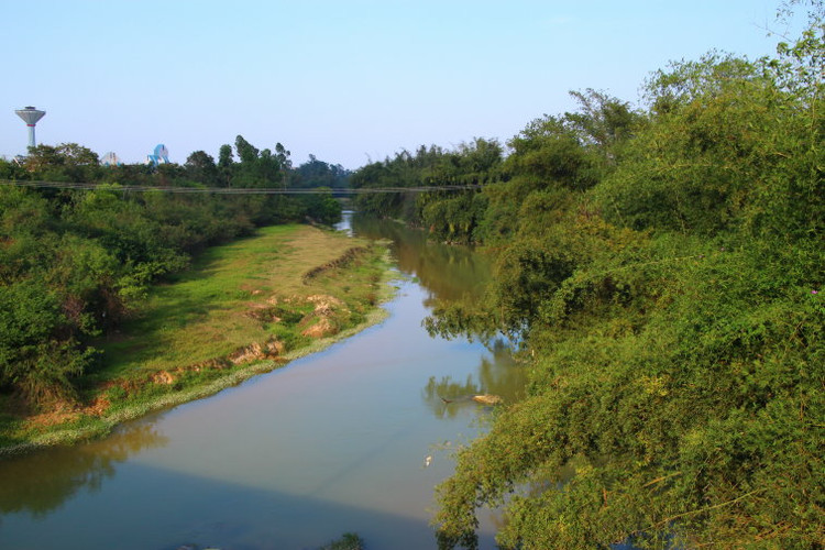 竹山村東側的小河流：大坑