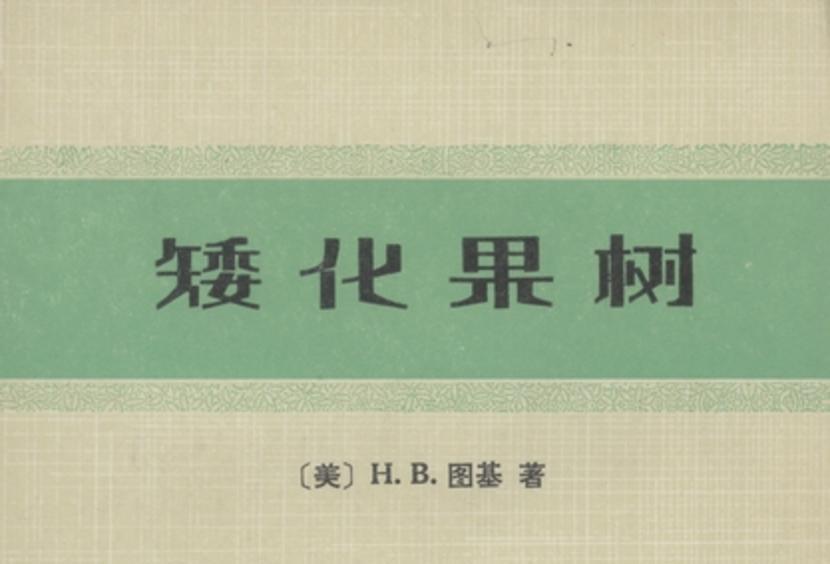 矮化果樹 矮化果樹