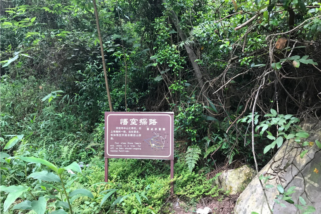 悟空探路