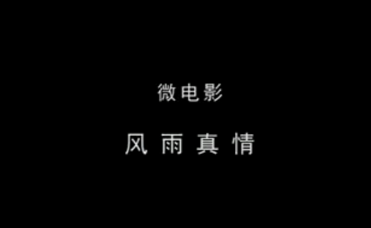 風雨真情(2013年蔡保國執導電影)