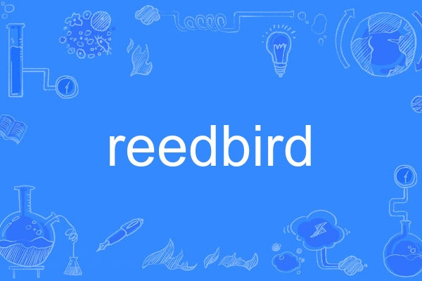 reedbird reedbird