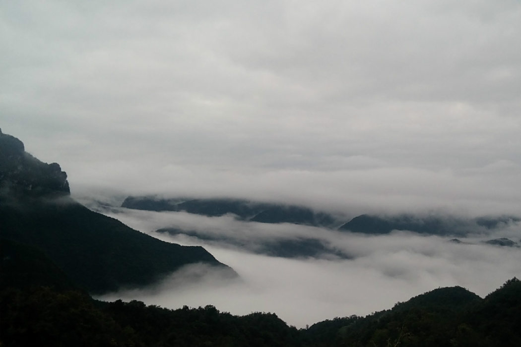 蛇口山村 蛇口山村