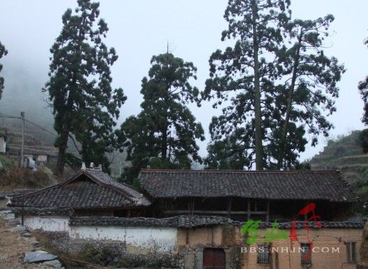 沙灣坑頭村 沙灣坑頭村