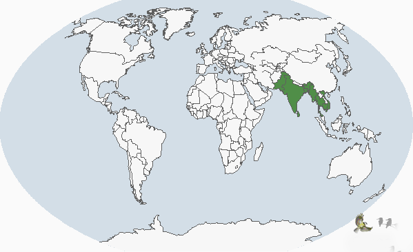 印度鸕鶿分布圖
