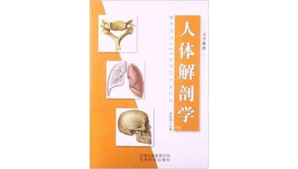 大學教材：人體解剖學
