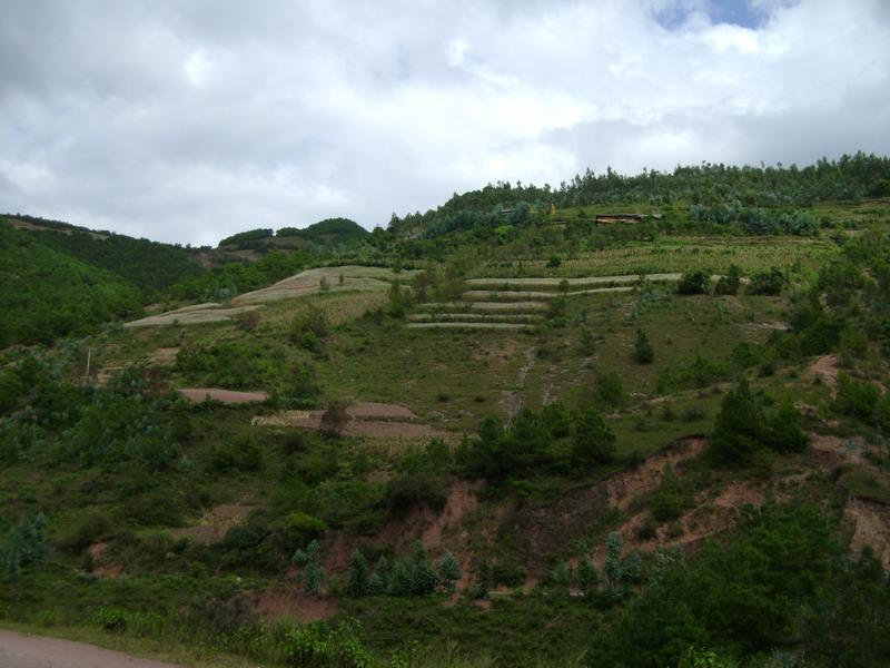 棠棣烏村 棠棣烏村