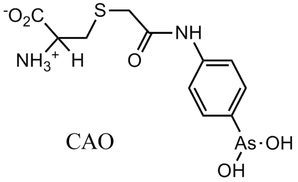 CAO(化學名詞)