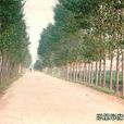 後龐村(山東省青島市萊西市姜山鎮下轄村) 後龐村(山東省青島市萊西市姜山鎮下轄村)