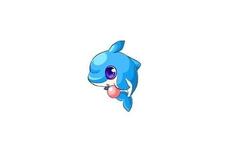 海豚可可 海豚可可