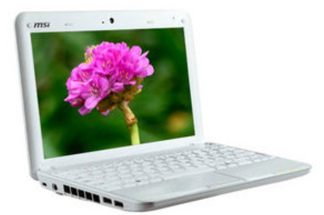 msi微星Wind U100X-IWN2701G16XL msi微星Wind U100X-IWN2701G16XL