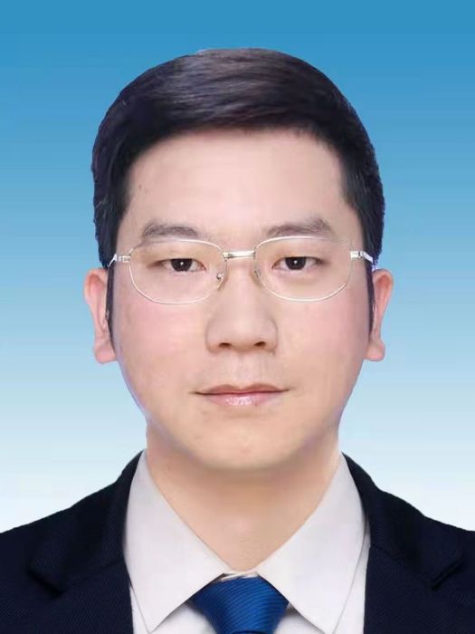 張波(雲南省紅河州蒙自市委副書記，市人民政府黨組書記、市長)