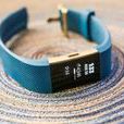 Fitbit Charge 2 Fitbit Charge 2