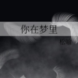 你在夢裡 你在夢裡