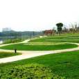 泗水公園 泗水公園