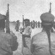 偽蒙軍 偽蒙軍